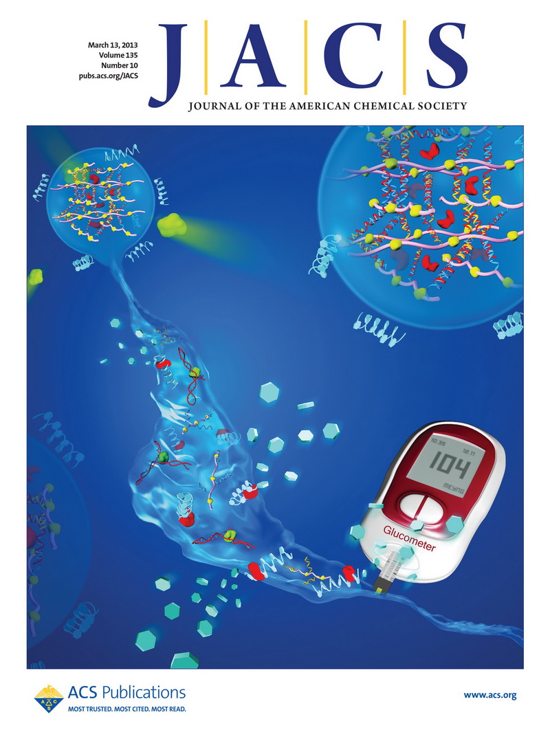 杨朝勇教授课题组最新研究成果登上JACS封面-厦门大学化学生物学系